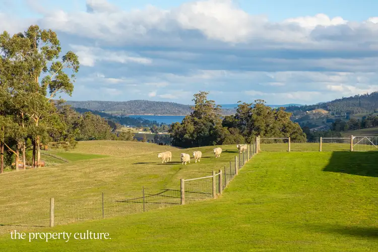 Sixth view of Homely house listing, 423 Slab Road, Cygnet TAS 7112