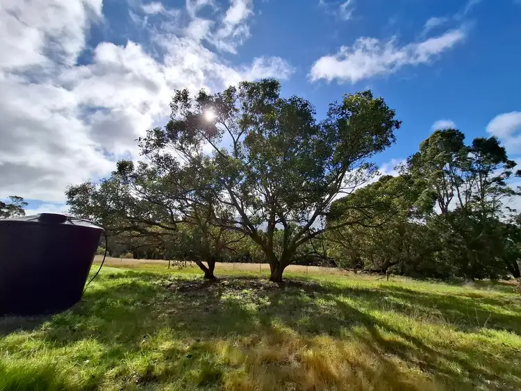 Sixth view of Homely rural property listing, 37 Ophir Road, Mount Barker WA 6324
