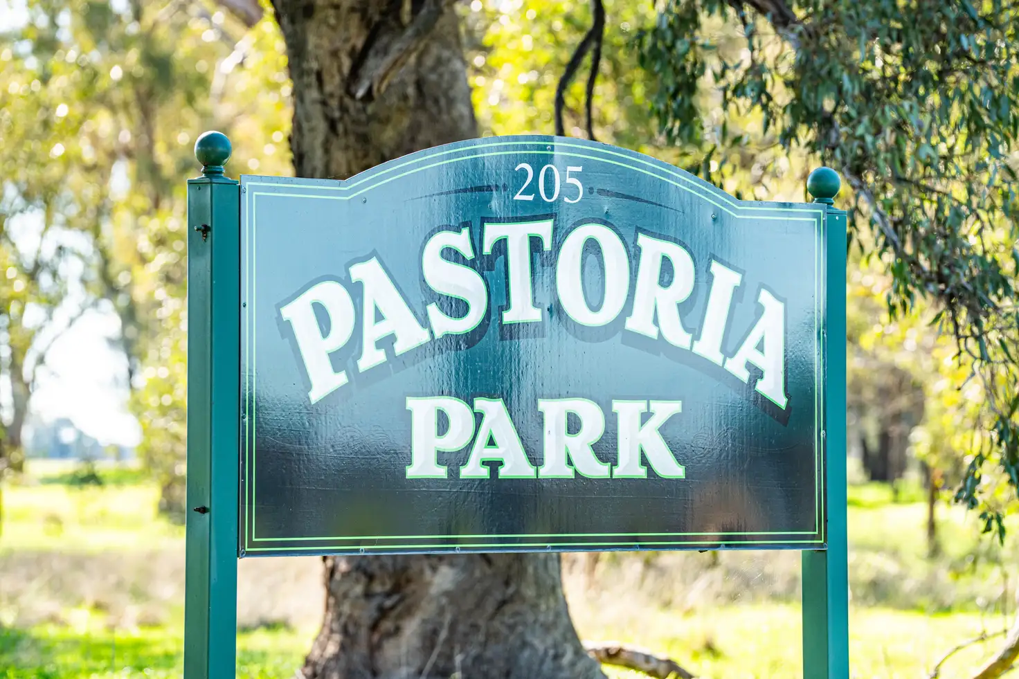 Main view of Homely rural property listing, 'Pastoria Park' 205 Balldale Road, Hopefield NSW 2646
