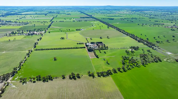 Third view of Homely rural property listing, 'Pastoria Park' 205 Balldale Road, Hopefield NSW 2646