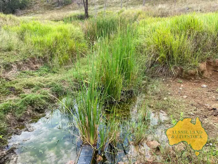 Fourth view of Homely rural property listing, LOT 8-9, . "O'Keefes & Tracey's", Monto Mount Perry Road, Mungy, Mungy QLD 4671