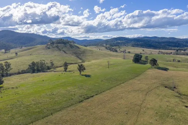 Second view of Homely rural property listing, 166 Green Hill Lane, Wyndham NSW 2550