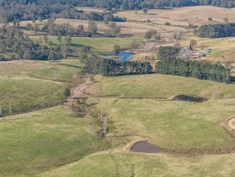 Third view of Homely rural property listing, 166 Green Hill Lane, Wyndham NSW 2550