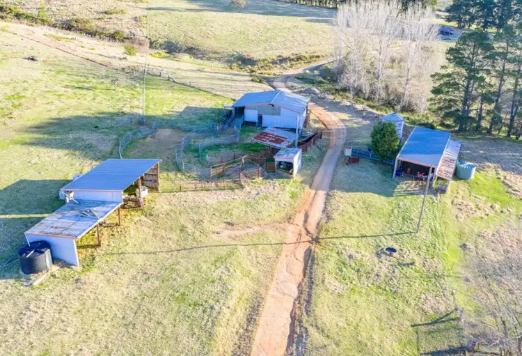 Fourth view of Homely rural property listing, 166 Green Hill Lane, Wyndham NSW 2550