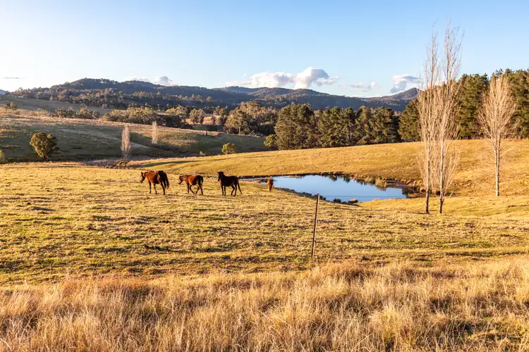 Fifth view of Homely rural property listing, 166 Green Hill Lane, Wyndham NSW 2550