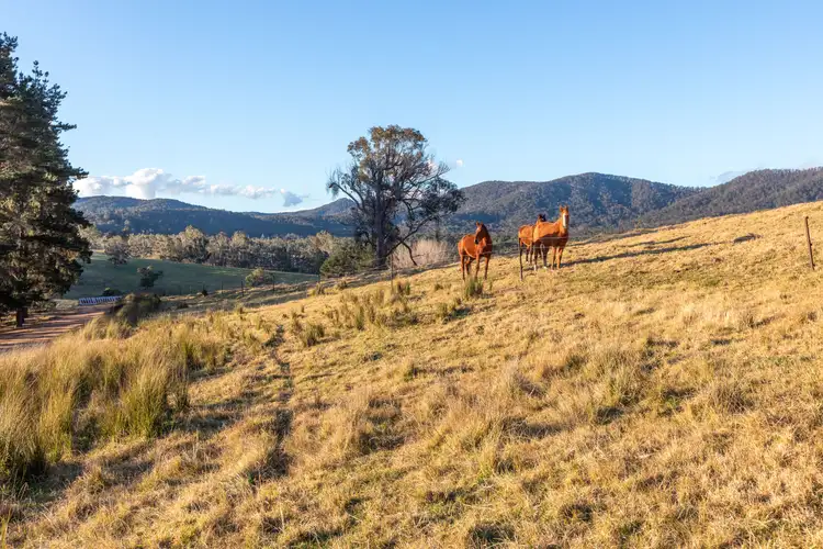 Sixth view of Homely rural property listing, 166 Green Hill Lane, Wyndham NSW 2550
