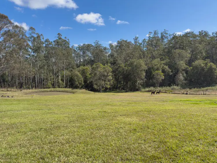 Third view of Homely rural property listing, 205 Borserio Drive, Mount George NSW 2424