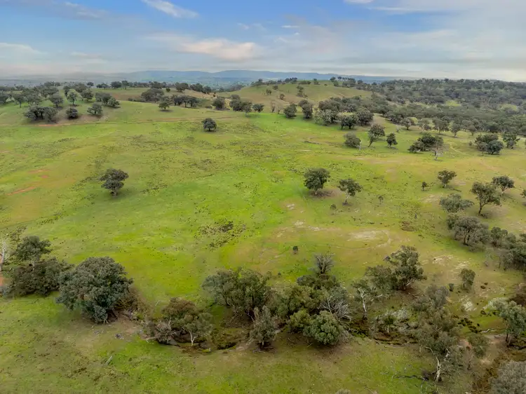 Third view of Homely rural property listing, 6119 Burrendong Way, Stuart Town NSW 2820