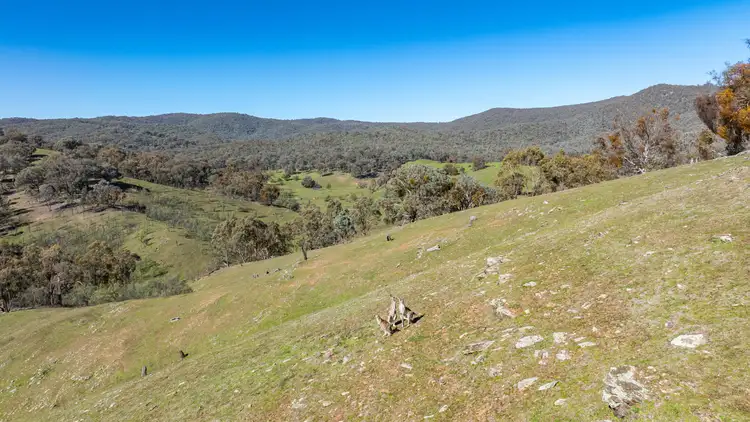 Second view of Homely rural property listing, 'Sweetwater' 198 Tinmines Road, Mullengandra NSW 2644