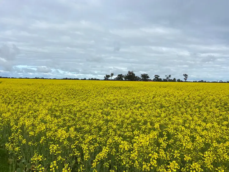 Third view of Homely land listing, 2015 McEwen Road, Kyabram South VIC 3620