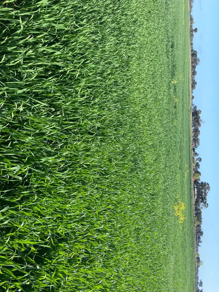Fourth view of Homely land listing, 2015 McEwen Road, Kyabram South VIC 3620