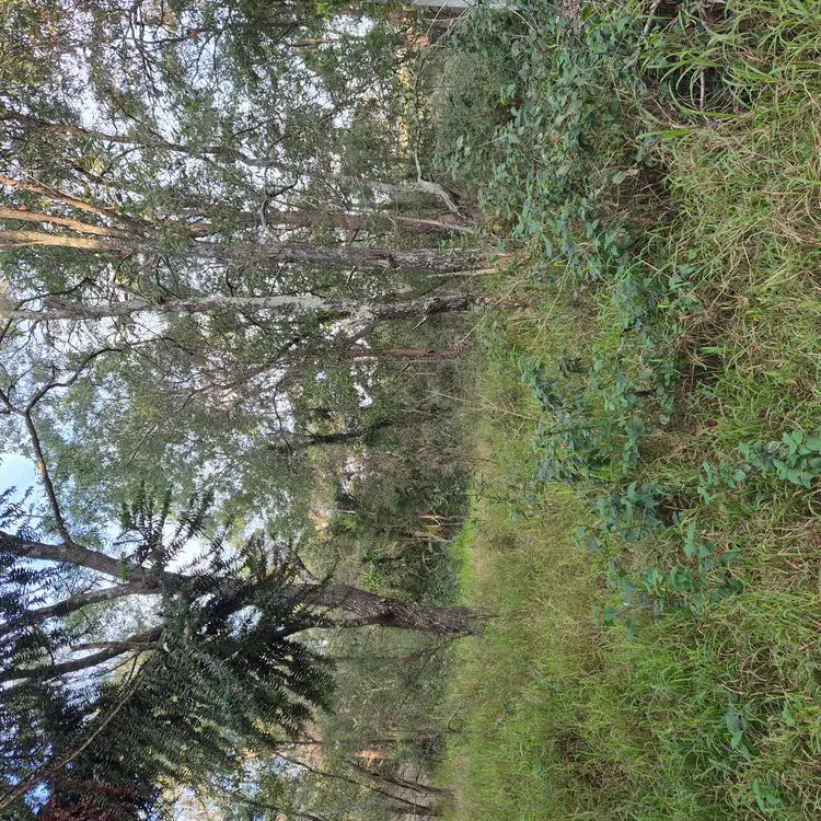 Second view of Homely land listing, 145-153 Loganview Road, Logan Reserve QLD 4133