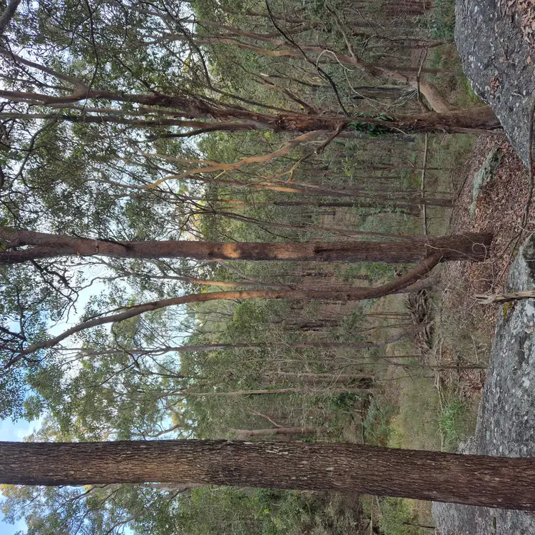 Third view of Homely land listing, 145-153 Loganview Road, Logan Reserve QLD 4133