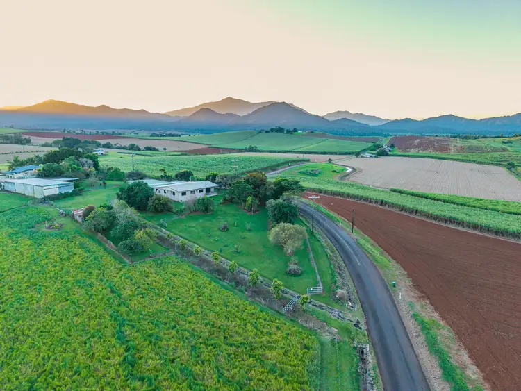 Seventh view of Homely house listing, 183 Nerada Road, Nerada QLD 4860