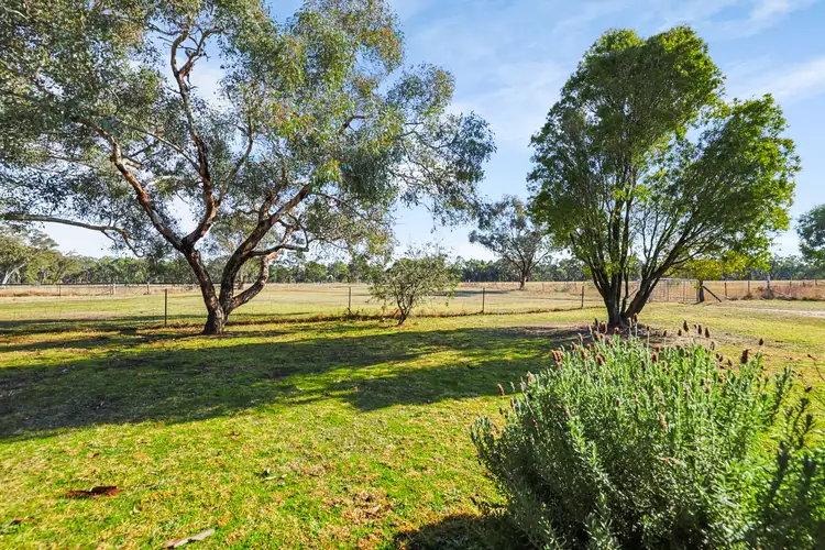 Third view of Homely rural property listing, 754 Spring Creek Road, Gulgong NSW 2852