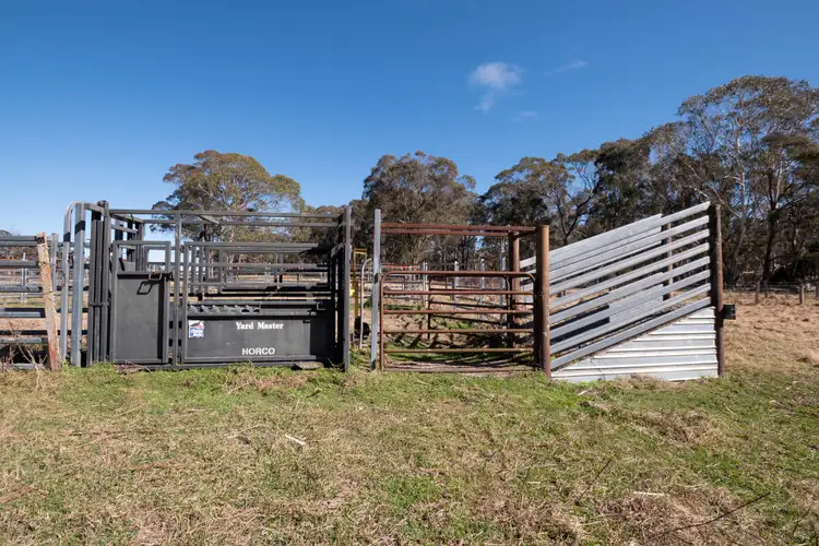Fourth view of Homely rural property listing, 1504 Morven Road, Dundee NSW 2370