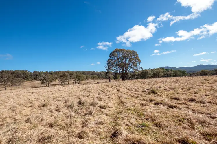 Sixth view of Homely rural property listing, 1504 Morven Road, Dundee NSW 2370