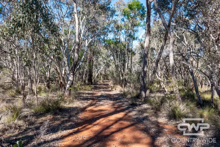 Second view of Homely land listing, LOT 1, 222 Strathbogie Road, Emmaville NSW 2371
