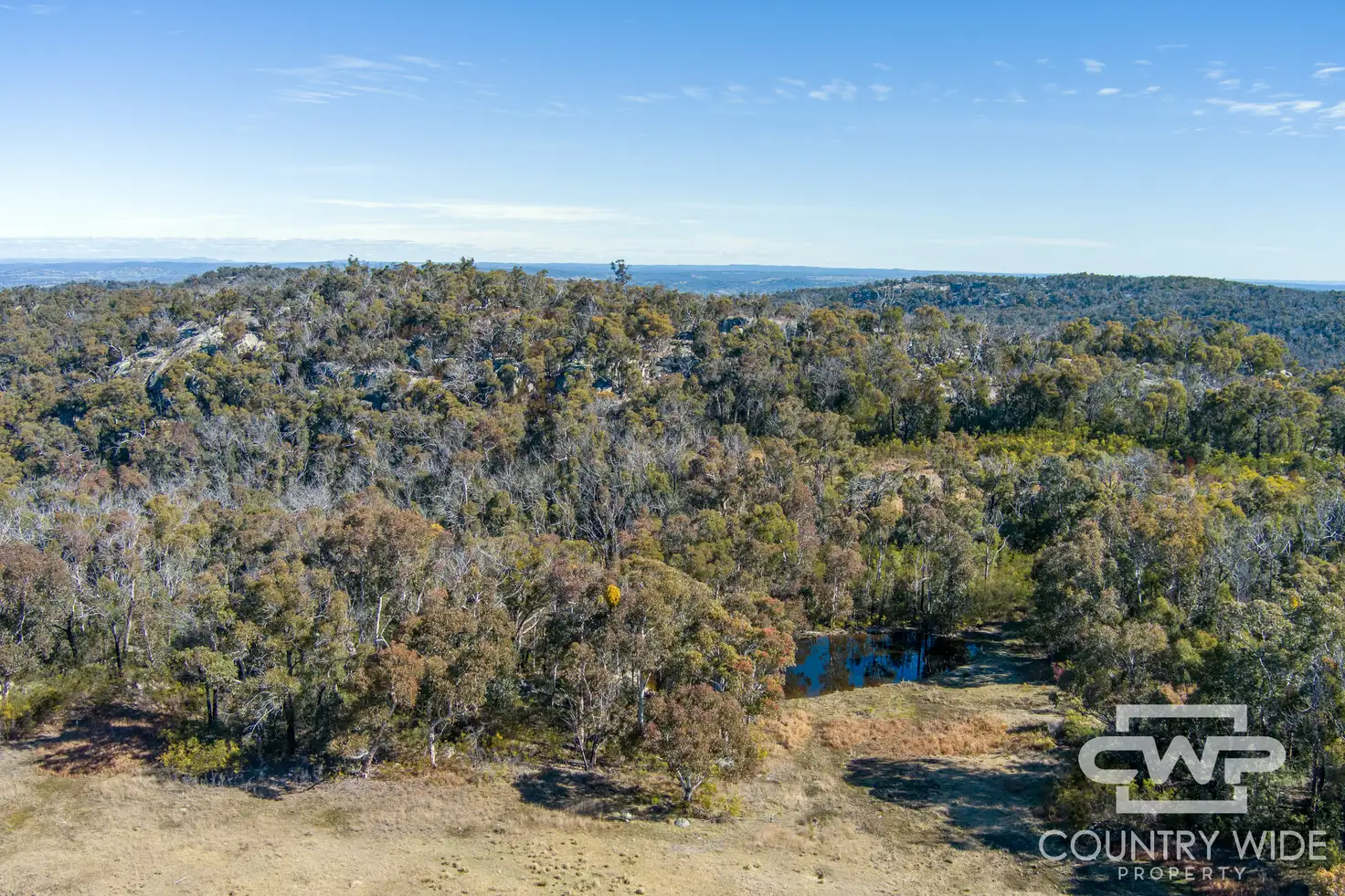 Main view of Homely rural property listing, LOT 332, 41 Gilligans Lane, Torrington NSW 2371