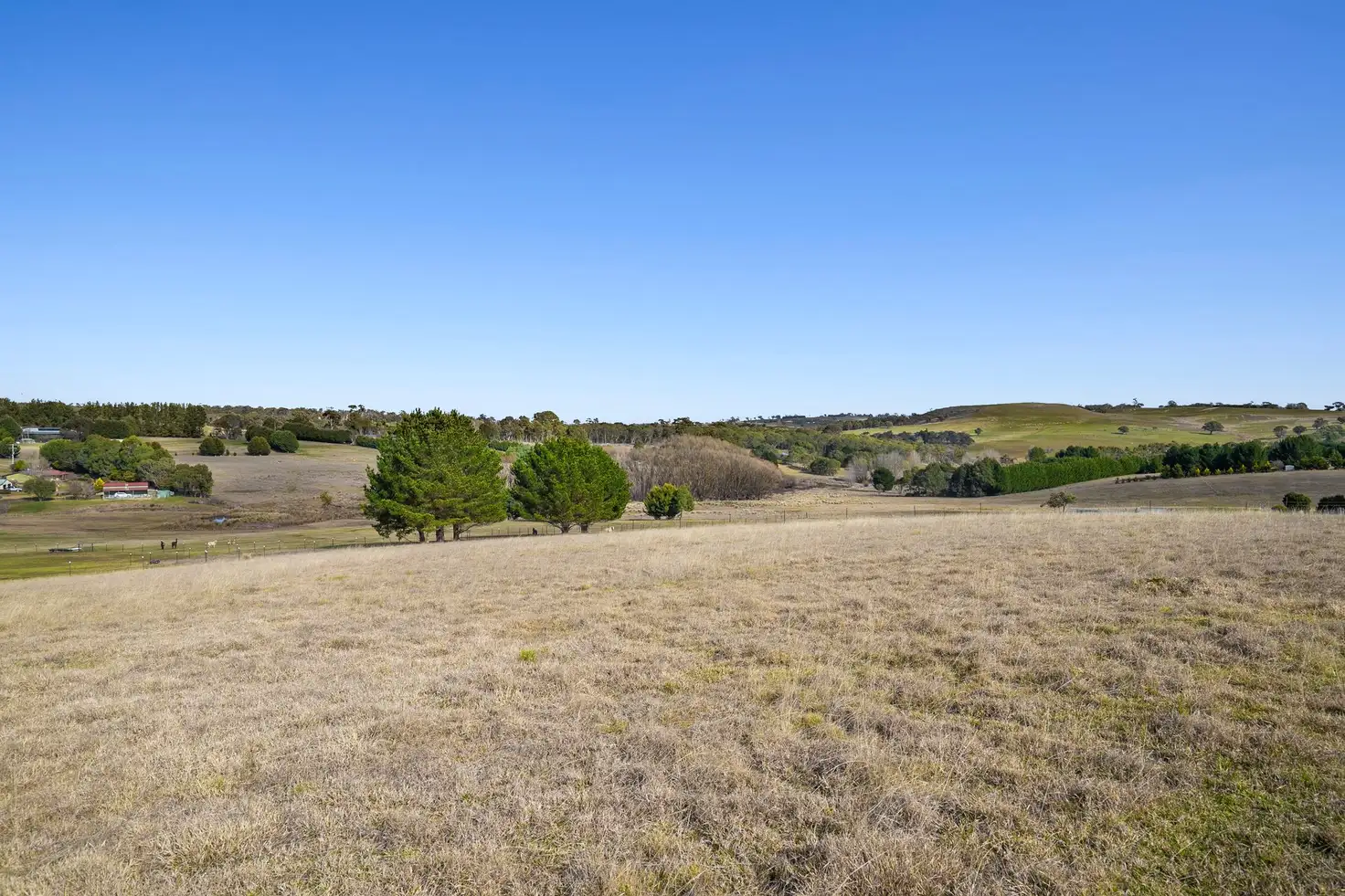 Main view of Homely rural property listing, 57 Hewitts Lane, Grabben Gullen via, Crookwell NSW 2583