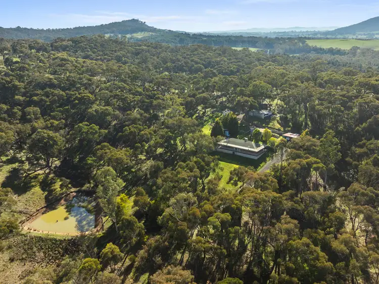 Fifth view of Homely rural property listing, 310 Dockerys Road, Tallarook VIC 3659