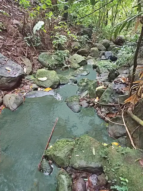 Third view of Homely rural property listing, 516 Brooks Road, Mungalli QLD 4886