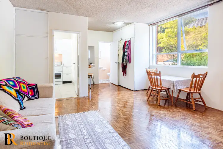 3/173 Bridge Road, Glebe NSW 2037