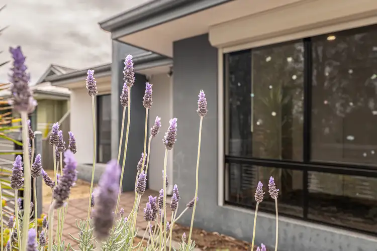 9 Rouse Lane, Byford WA 6122