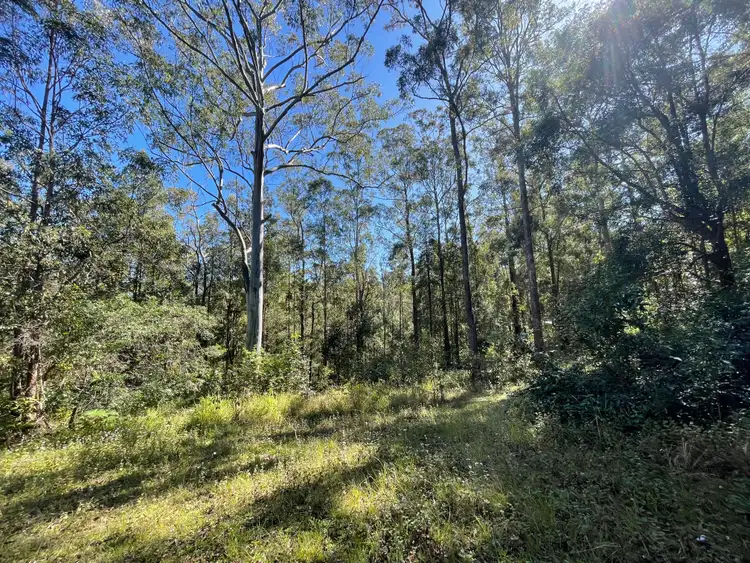 Second view of Homely land listing, LOT 37, 1157 Stony Chute Road, Wadeville NSW 2474