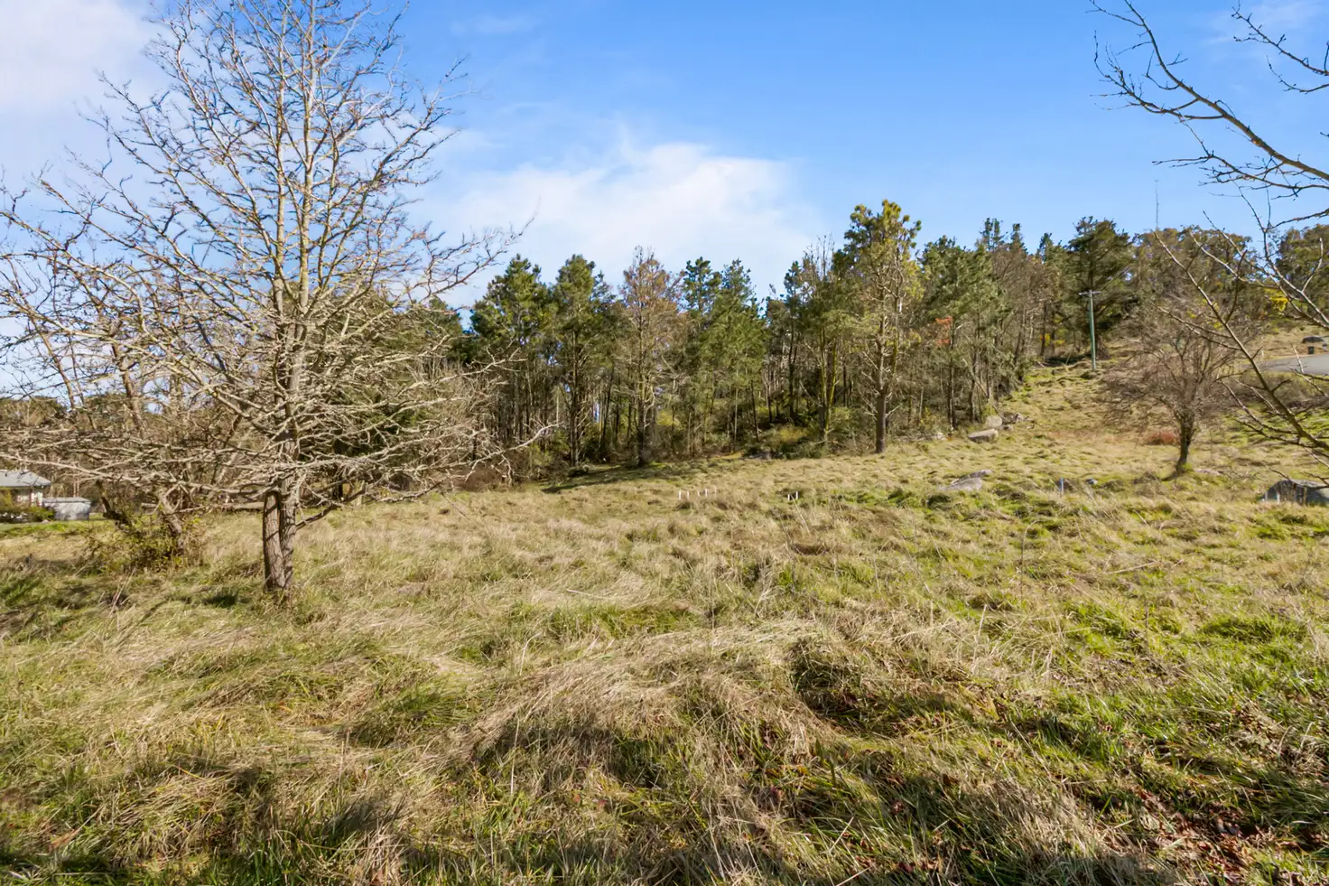 Main view of Homely land listing, 72 Hill Street, Uralla NSW 2358
