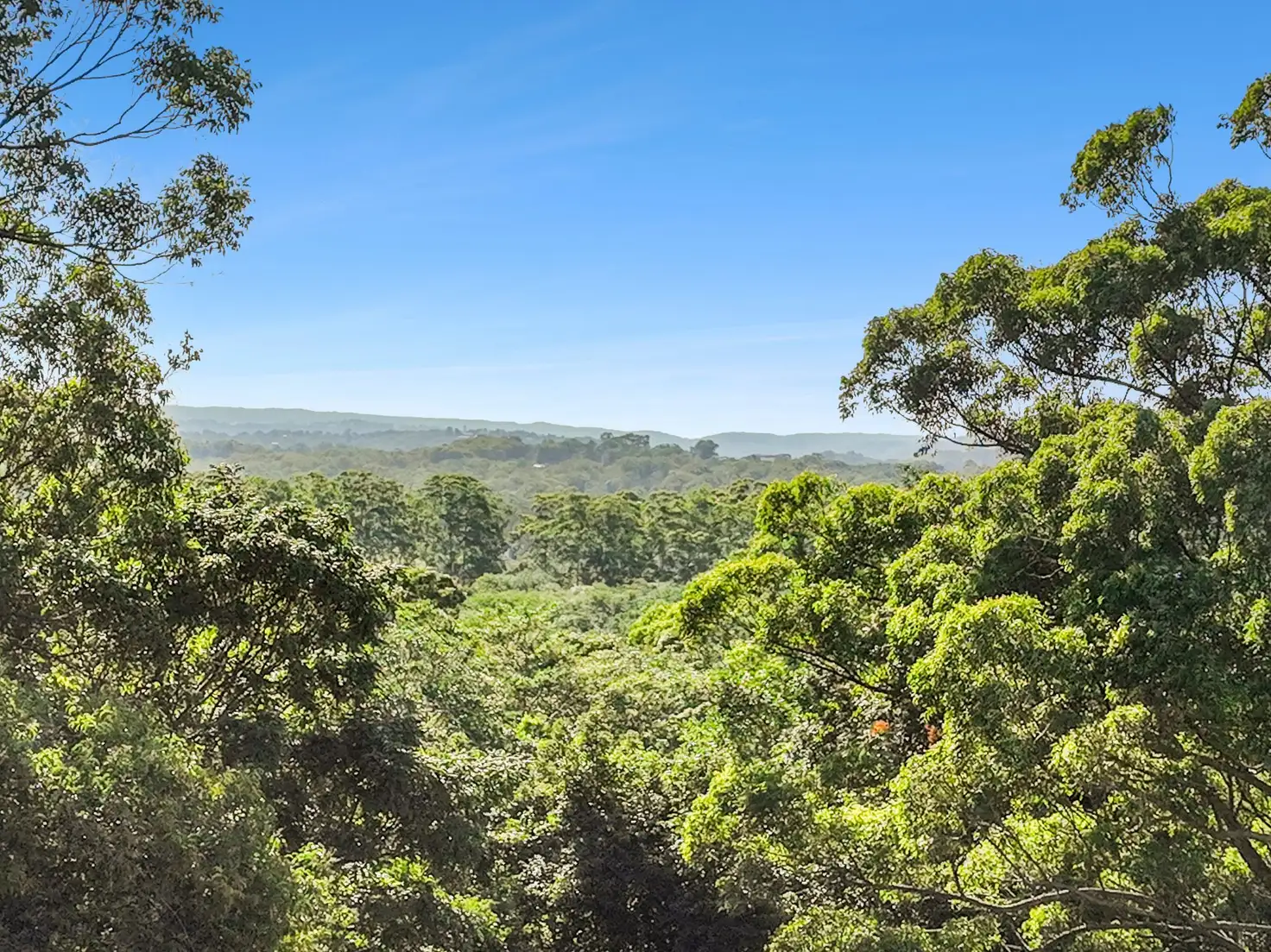 Main view of Homely land listing, 36 Riverbreeze Way, Kuluin QLD 4558
