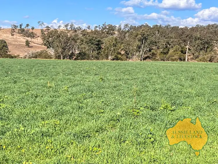 Fifth view of Homely rural property listing, 250 Heights Road, Nanango QLD 4615