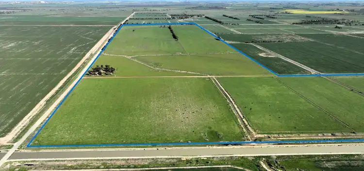 Seventh view of Homely rural property listing, CA36, 40B & 41B Pyramid-Cohuna Road, Cohuna VIC 3568