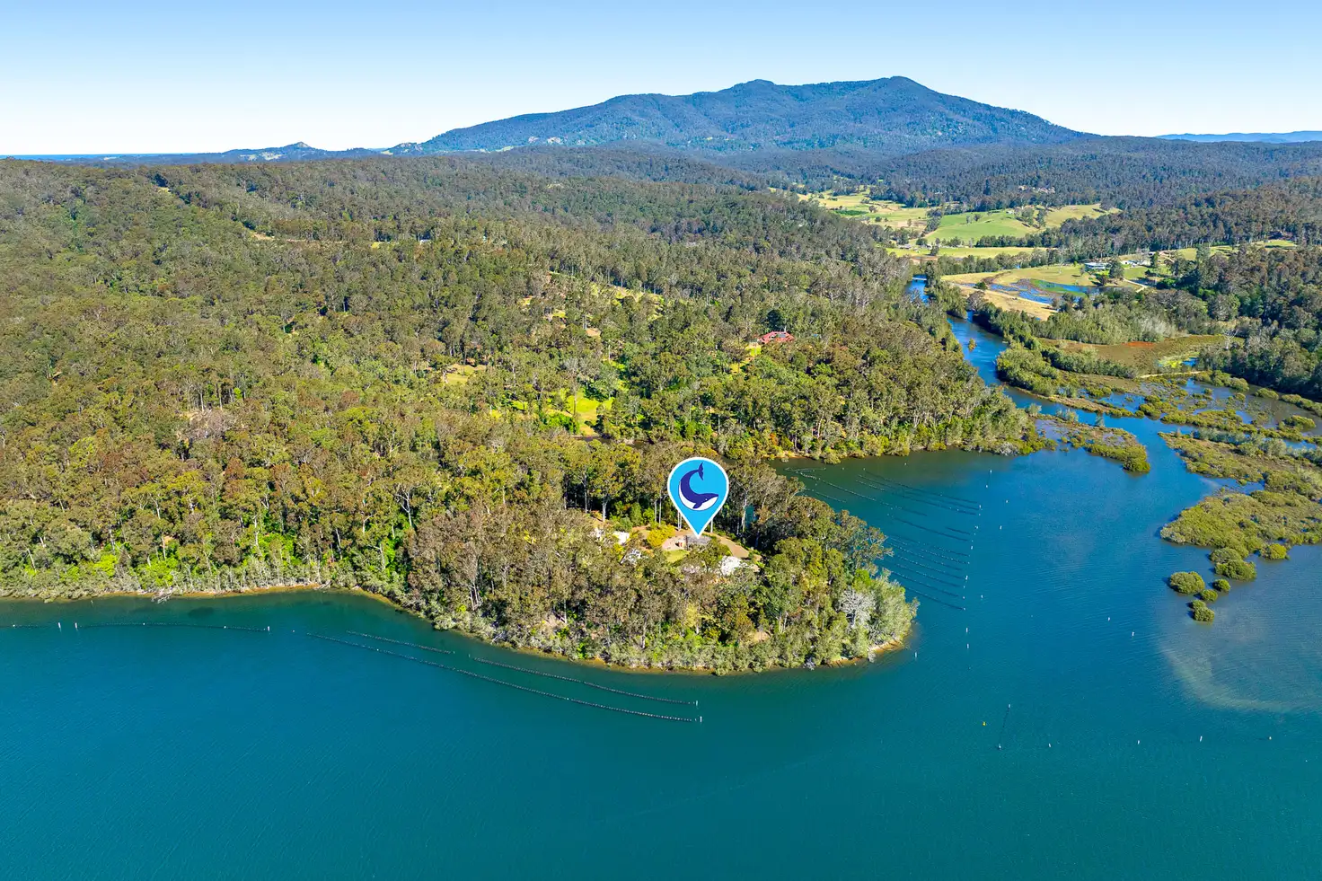 Main view of Homely rural property listing, 105 Hobbs Point Road, Narooma NSW 2546