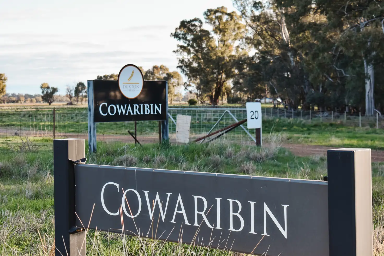 Main view of Homely rural property listing, 3671 Lachlan Valley Way, Jemalong NSW 2871