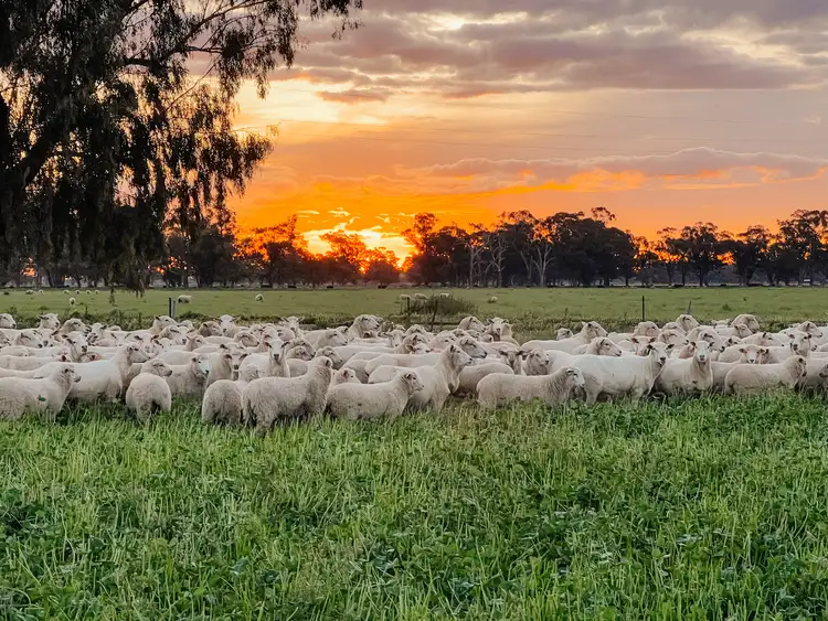 Fourth view of Homely rural property listing, 3671 Lachlan Valley Way, Jemalong NSW 2871