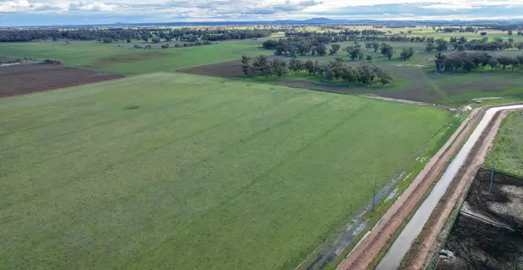 Fifth view of Homely rural property listing, 3671 Lachlan Valley Way, Jemalong NSW 2871