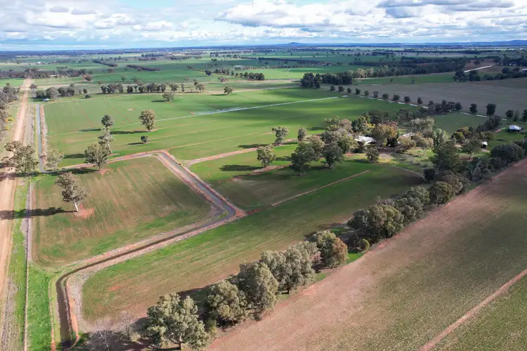 226 Willawang Road, Warroo NSW 2871