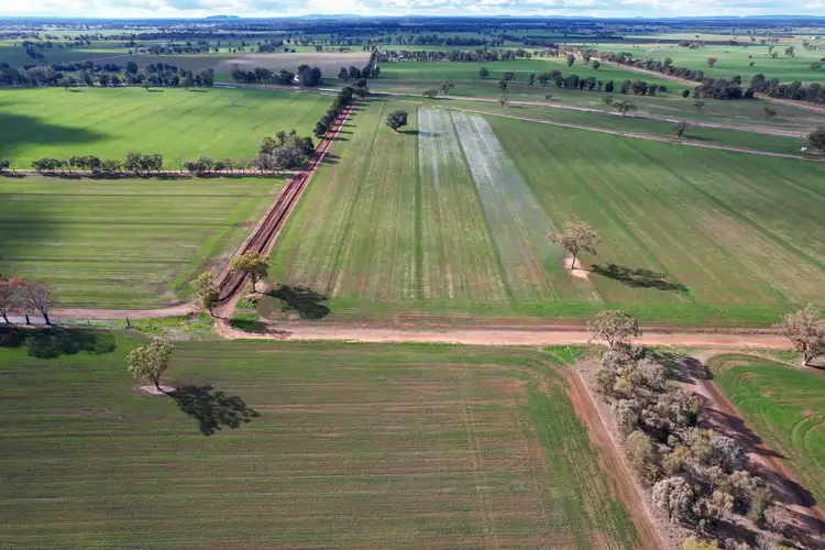 Fourth view of Homely rural property listing, 226 Willawang Road, Warroo NSW 2871