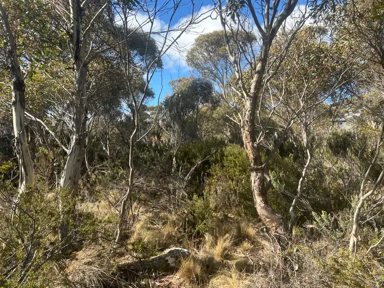 Second view of Homely land listing, 42 Fleming Drive, Miena TAS 7030