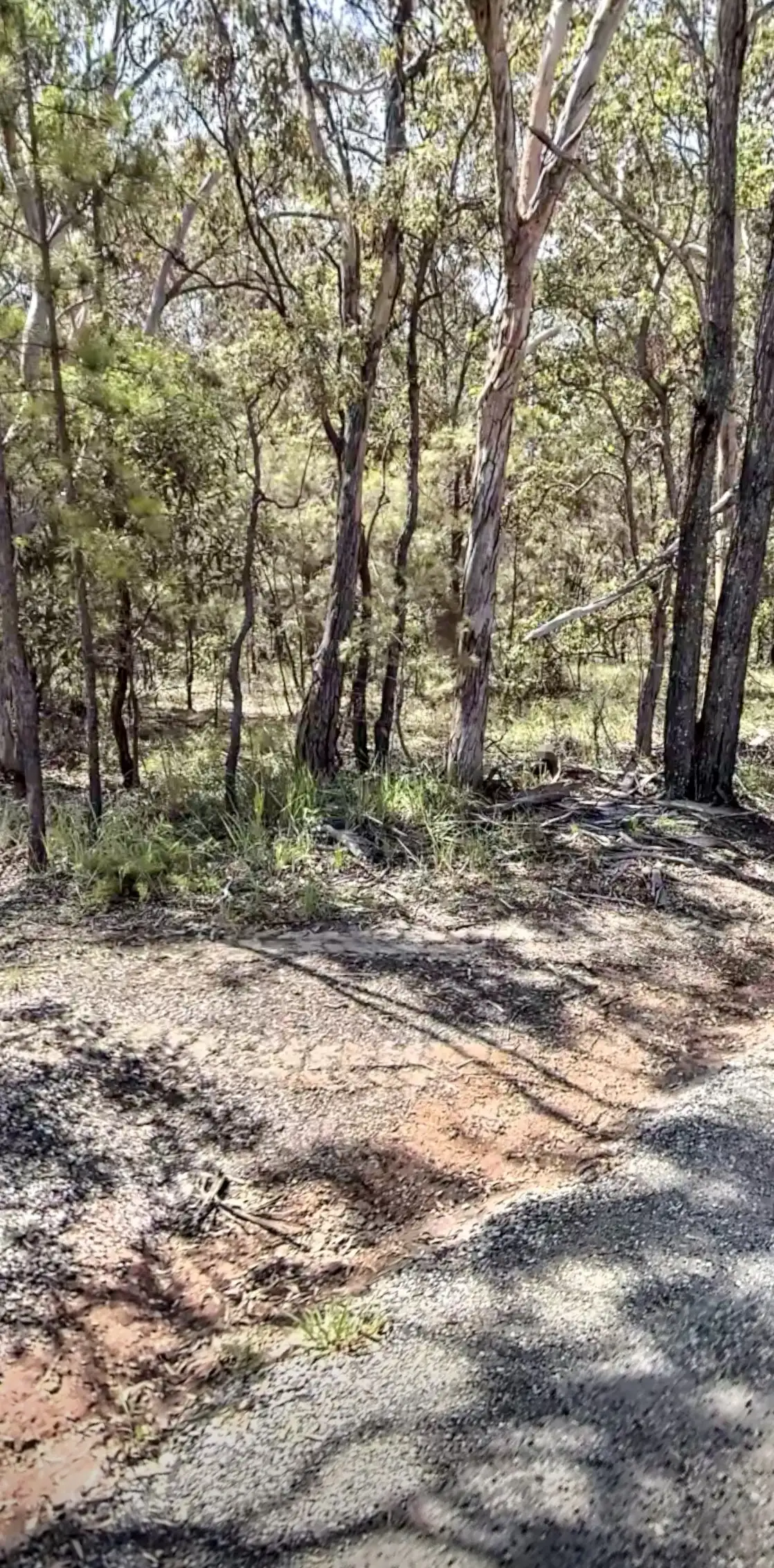 Main view of Homely land listing, 15 Ilya Street, Macleay Island QLD 4184