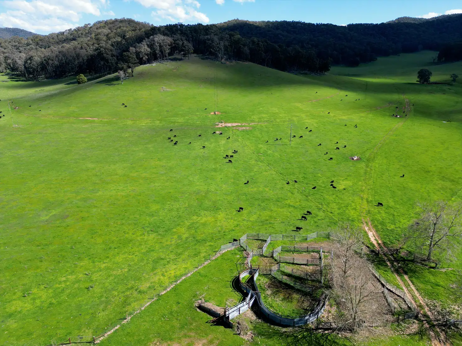 Main view of Homely rural property listing, 'Eastmore' 1177 Callaghan Creek Road, Mitta Mitta VIC 3701