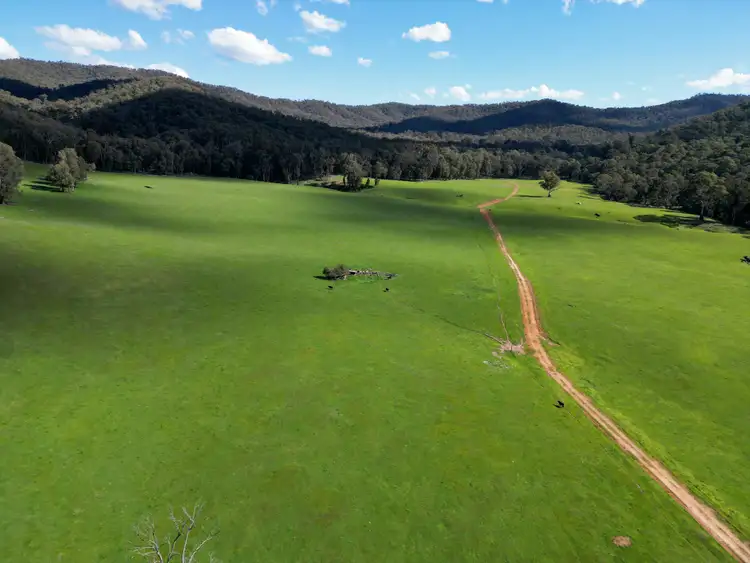 Second view of Homely rural property listing, 'Eastmore' 1177 Callaghan Creek Road, Mitta Mitta VIC 3701