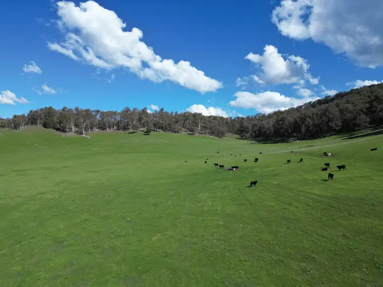 Second view of Homely rural property listing, 'Eastmore' 1177 Callaghan Creek Road, Mitta Mitta VIC 3701