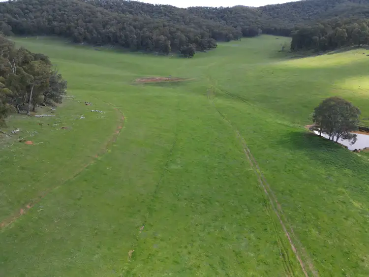 Fifth view of Homely rural property listing, 'Eastmore' 1177 Callaghan Creek Road, Mitta Mitta VIC 3701