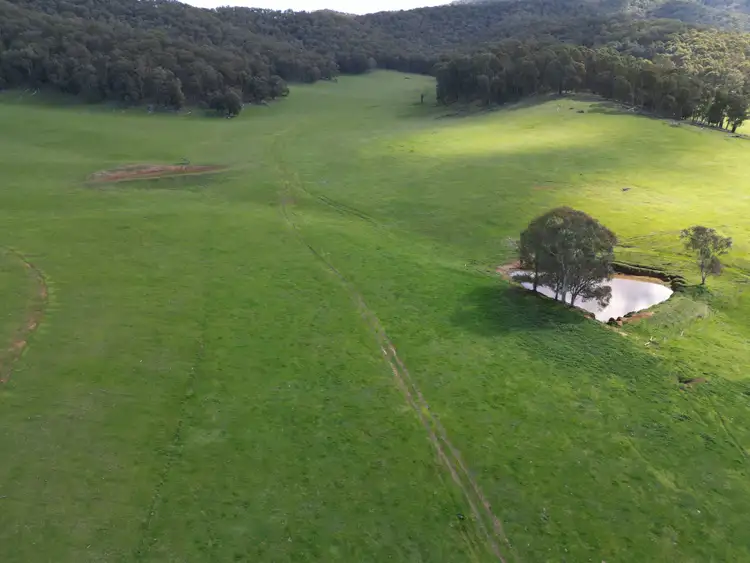 Sixth view of Homely rural property listing, 'Eastmore' 1177 Callaghan Creek Road, Mitta Mitta VIC 3701