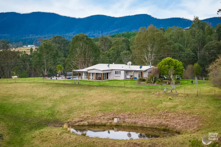 160 Link Road, Wandella NSW 2550