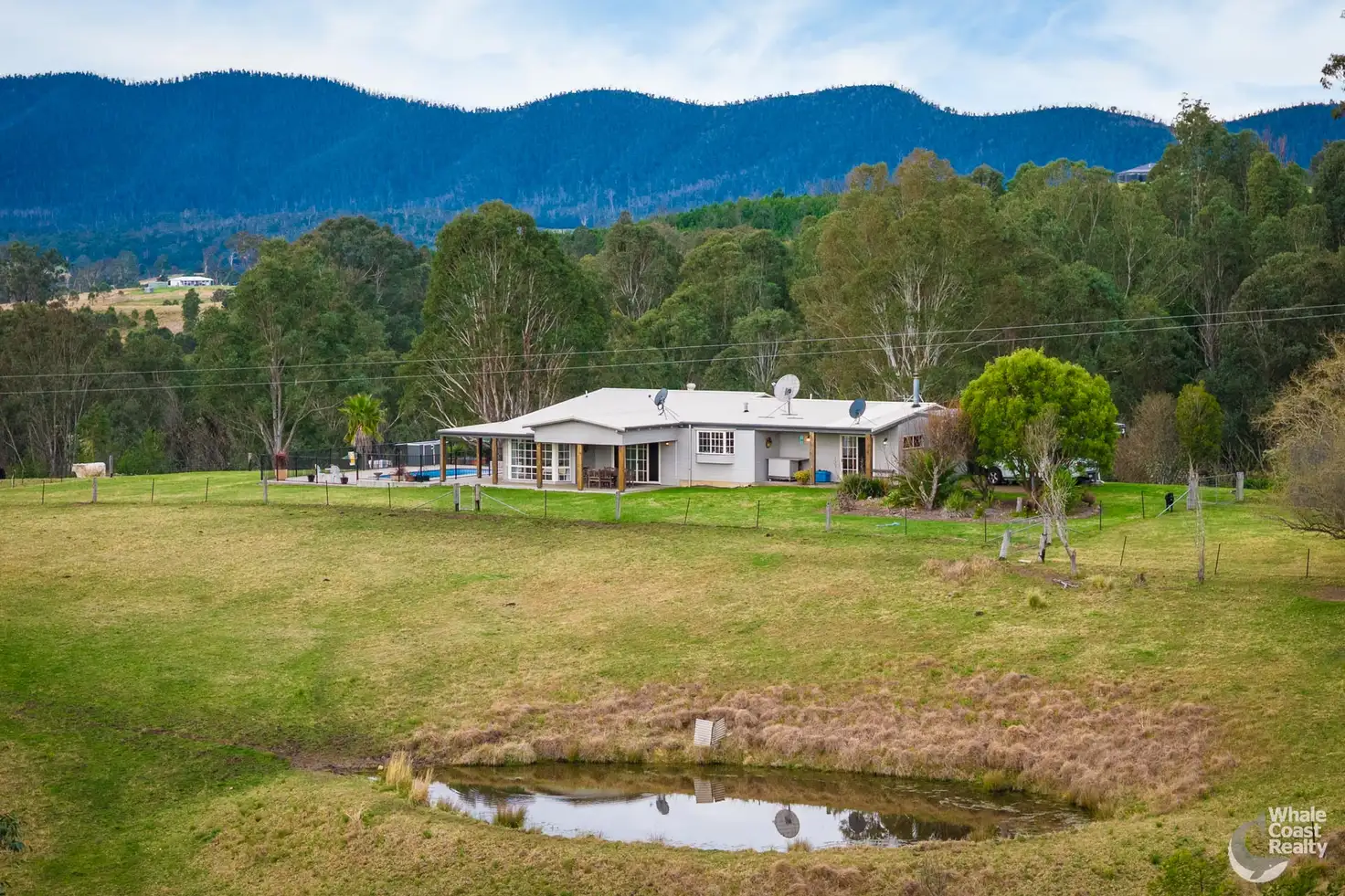 Main view of Homely rural property listing, 160 Link Road, Wandella NSW 2550