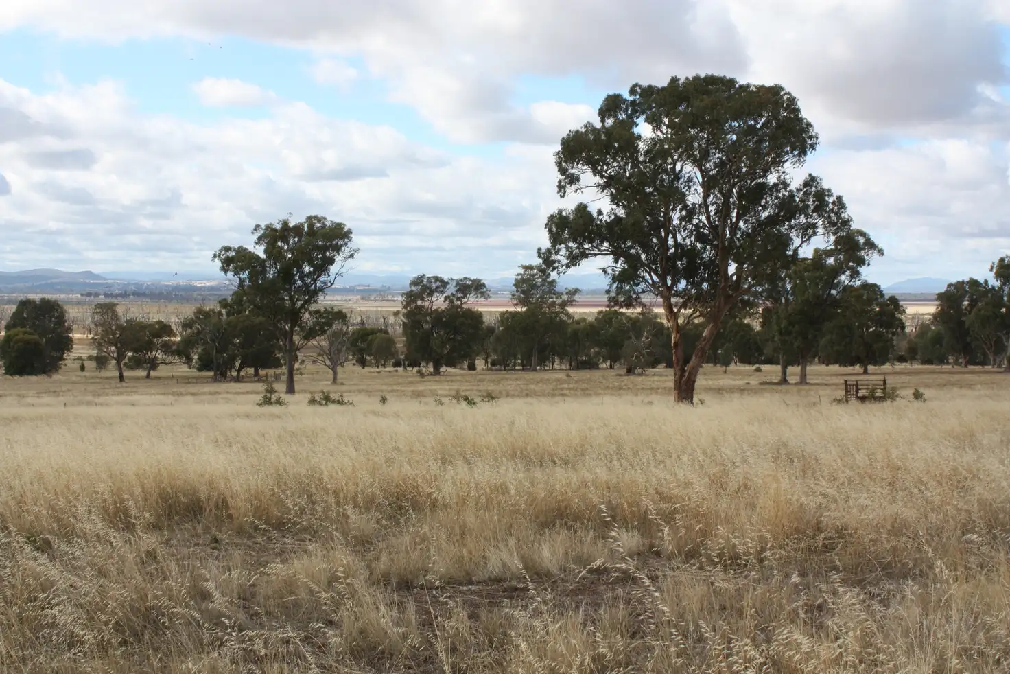Main view of Homely land listing, 1 McGann Hill Road, Chesney Vale VIC 3725