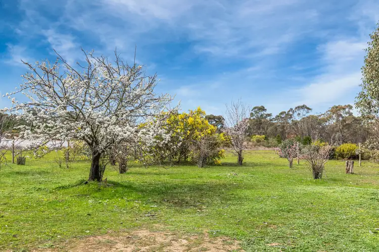 Third view of Homely land listing, 175 Chamberlain Road, Heathcote VIC 3523
